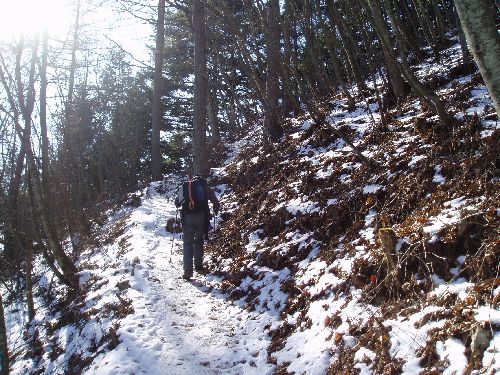 20111215-雪道を歩く.jpg