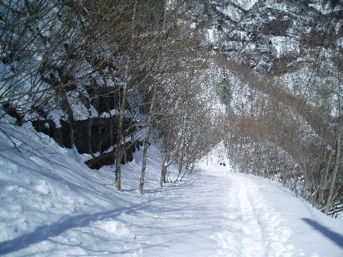 20120229-林道を歩く.jpg
